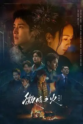 《微暗之火》：迷雾中的人性较量，一场关于爱与救赎的绝望独白